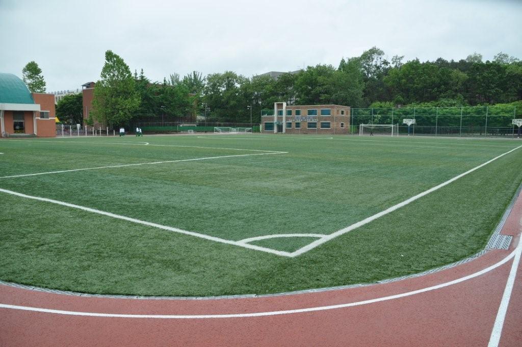 shaw sportexe korea 