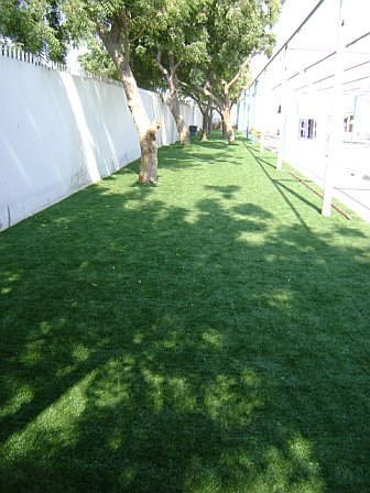 EagleLawn dundee 2