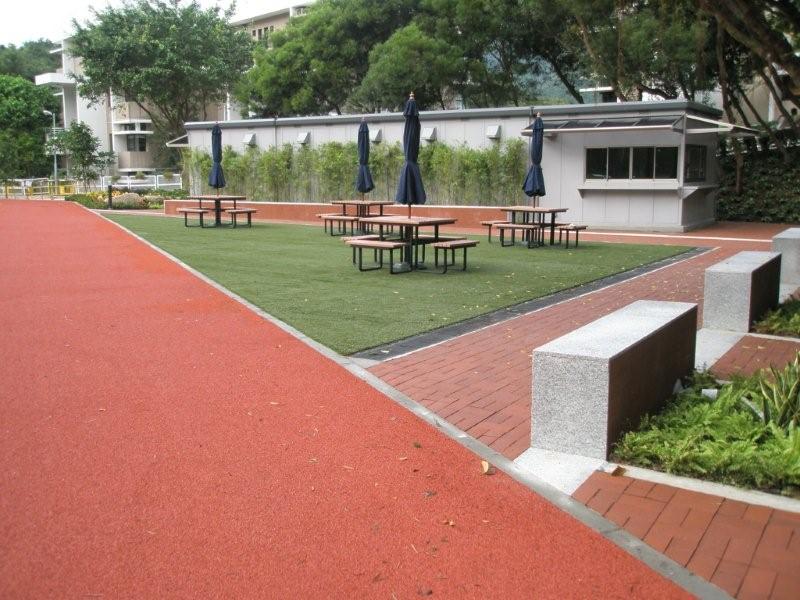 Puregrass for picnic area