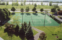 ASI-Court tennis grass