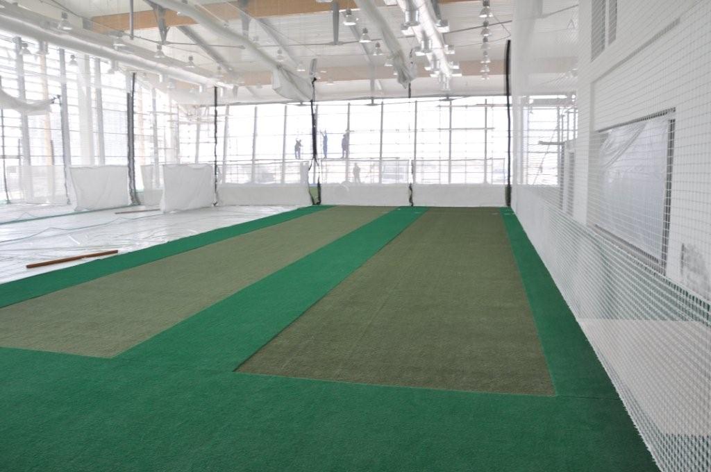 IcC DSC cricket astroturf