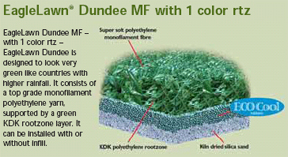 EagleLawn Dundee MF with 1 color rtz