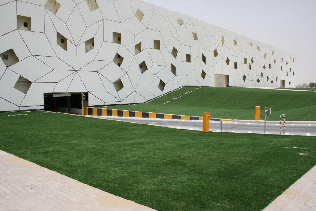 Eaglelawn in qatar by asi